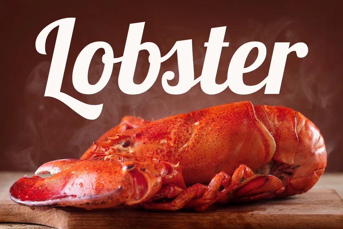 Lobster字体